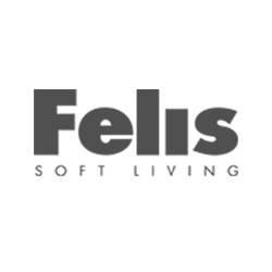 Felis-Grigio